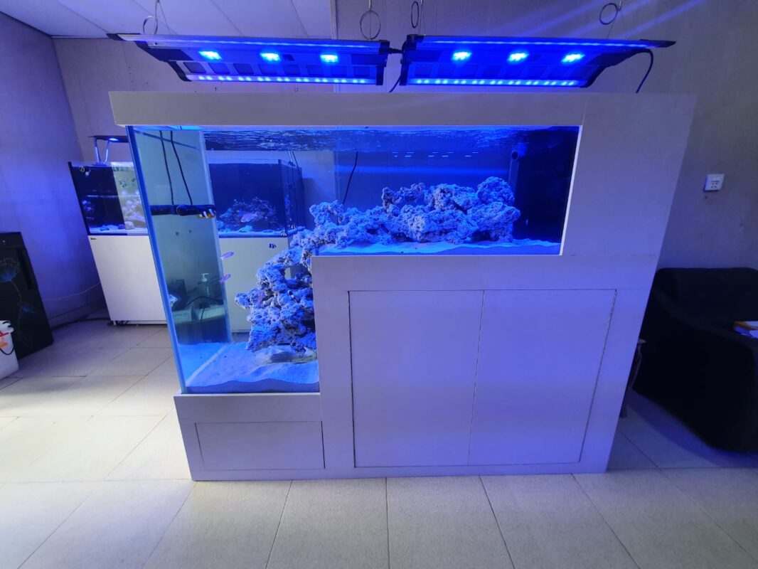 Step Down Saltwater Aquarium